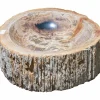 20.5" Petrified Wood Stone Vessel Sink, Beige, Brown, Red Orange, PEWD-#224-A