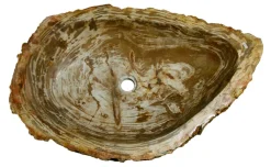 29" Petrified Wood Stone Vessel Sink, Beige, Brown