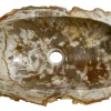 21" Petrified Wood Stone Vessel Sink, Oval, Brown, Cream