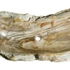 42" Petrified Wood Stone Vessel Sink, Brown, Taupe, PEWD-#002