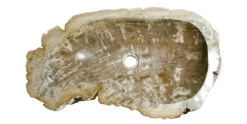Allstone W 26″ x D 14.5″ x H 5.5″ Petrified Wood Stone Vessel Sink, Beige, Brown, PEWD-#033