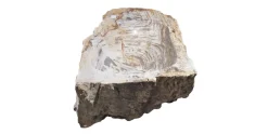 Allstone 32"x13"x5.5" Petrified Wood Stone Vessel Sink, Beige, Brown, PEWD-#274