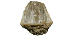 Allstone 33"x14.5"x5.5" Petrified Wood Stone Vessel Sink, Beige, Brown, PEWD-#025