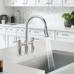 Blanco Empressa 1.5 GPM Brass Kitchen Faucet, Pull-Down, Polished Chrome, 442504