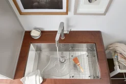 Blanco Panera 1.5 GPM Stainless Steel Kitchen Faucet, Pull-Out, 402043