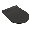 BOCCHI Milano Toilet Seat for 1632 model in Matte Black, A0337-004