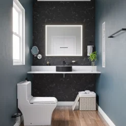EAGO Porcelain, White, TB356 Dual Flush One Piece High-Efficiency Low Flush Ceramic Toilet