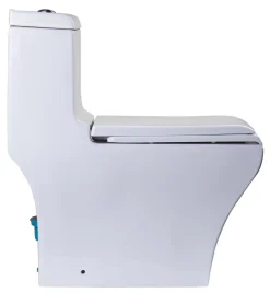 EAGO Porcelain, White, TB356 Dual Flush One Piece High-Efficiency Low Flush Ceramic Toilet