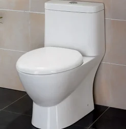 EAGO Porcelain, White, TB346 Modern Dual Flush One Piece High-Efficiency Low Flush Ceramic Toilet