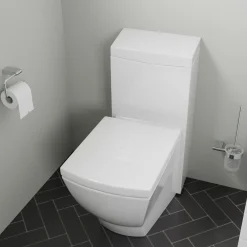 EAGO Porcelain, White, TB336 One Piece High-Efficiency Low Flush Ceramic Toilet