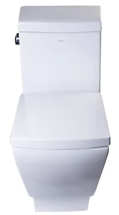 EAGO Porcelain, White, TB336 One Piece High-Efficiency Low Flush Ceramic Toilet