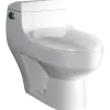 EAGO Porcelain, White, TB108 One Piece High Efficiency Low Flush Eco-Friendly Ceramic Toilet