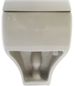 EAGO Porcelain, White, TB108 One Piece High Efficiency Low Flush Eco-Friendly Ceramic Toilet
