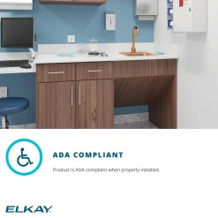 Elkay 17
