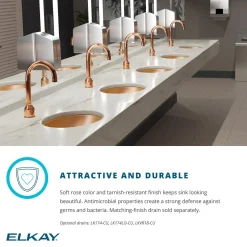 Elkay 17