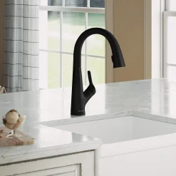 Elkay Avado Lever Handle Pull-down Spray Spout Brass ADA Kitchen Faucet, Matte Black, LKAV7051FMB
