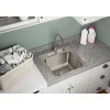 Elkay Lustertone 20" Stainless Steel Laundry Sink, Lustrous Satin, 3 Faucet Hole, DLR1919103