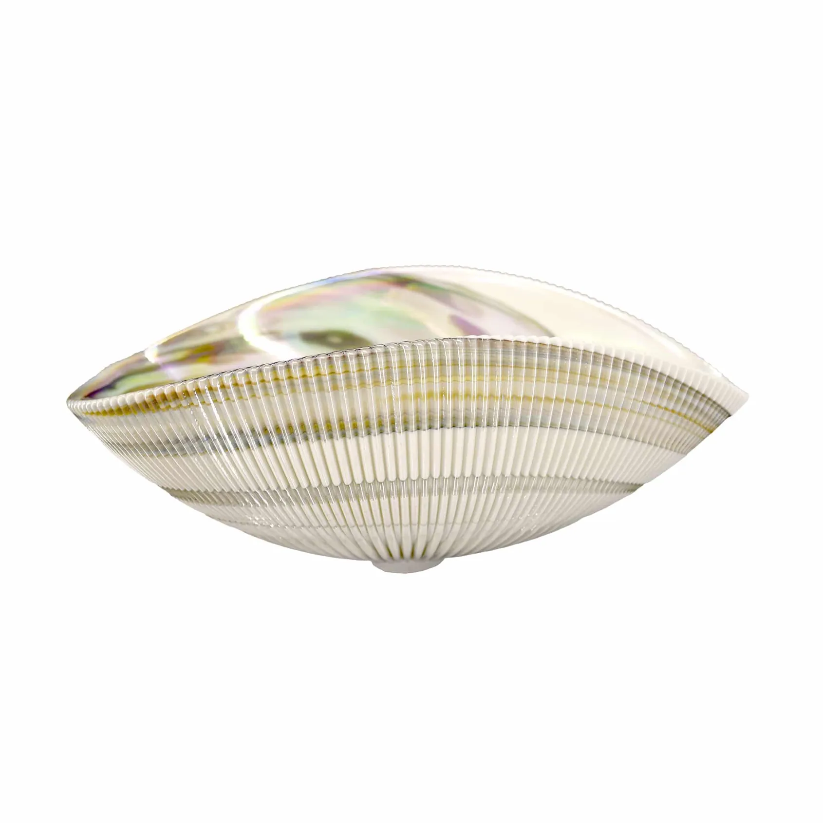 Native Trails Murano 18" Asymmetrical Shell-Shaped Glass Vessel Bathroom Sink, Abalone, MG1912-AE