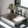 Native Trails Tatra 20" Rectangle Nickel Bathroom Sink, Polished Nickel, CPS846