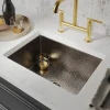 Native Trails Cocina 22" Undermount Copper Kitchen Sink, Polished Nickel, CPK878