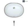 Rene 22" Oval Porcelain Bathroom Sink, White, R2-1005-W-PUD-BN