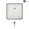 Rene 17" Rectangle Porcelain Bathroom Sink, Biscuit, R2-1003-B-PUD-C