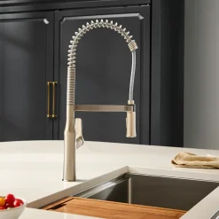 Ruvati Bianca Pre-Rinse Kitchen Faucet, Stainless Steel, Single Lever, RVF1233BN