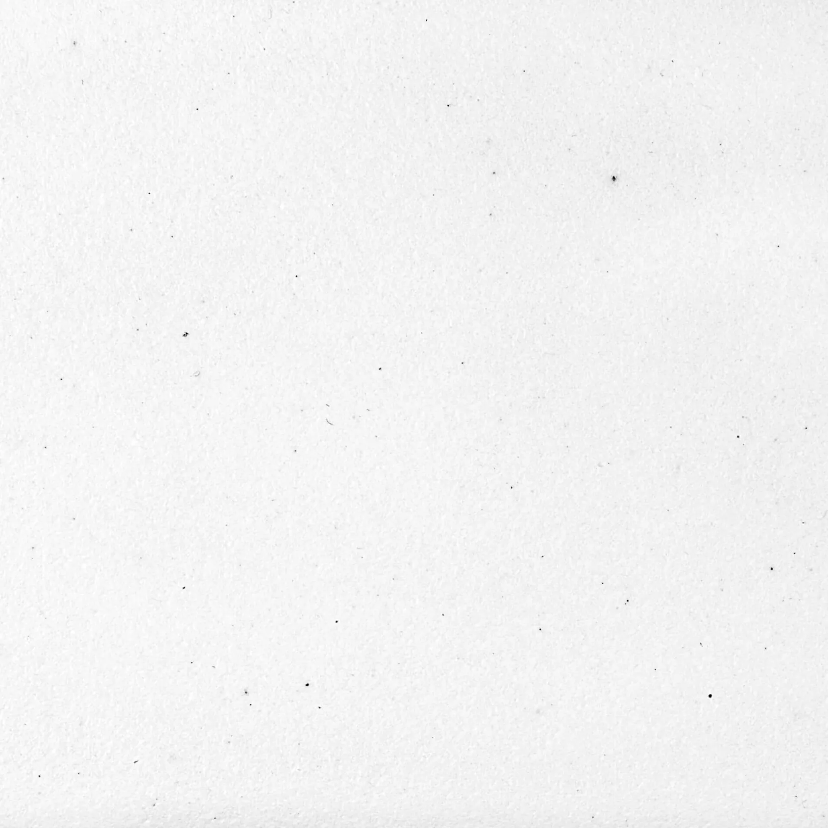 Ruvati epiGranite 33" Drop In Granite Composite Workstation Kitchen Sink, Arctic White Matte, RVG1303WH