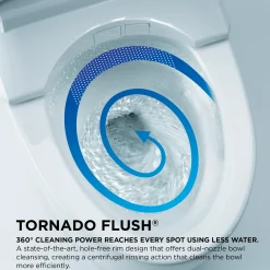 TOTO Nexus Two-Piece Elongated 1.28 GPF Universal Height Toilet with CEFIONTECT and SS234 SoftClose Seat, WASHLET+ Ready, Cotton White, Vitreous China, MS442234CEFG#01