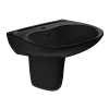 TOTO Prominence Oval Wall-Mount Bathroom Sink and Shroud for Single Hole Faucets, Ebony, Vitreous China, LHT242#51